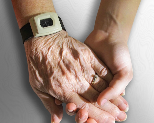 Wavegenetic matrices