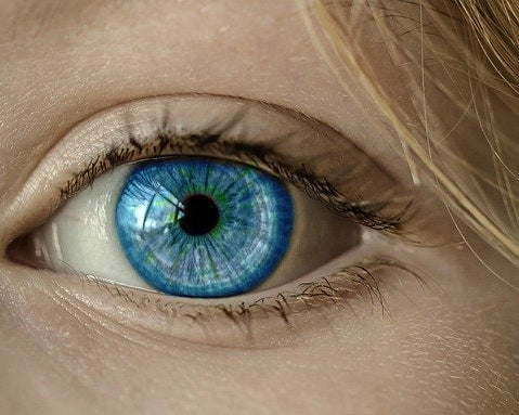 Wavegenetic matrices