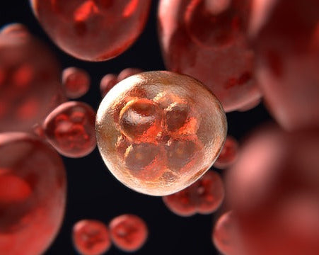 Wavegenetic matrices